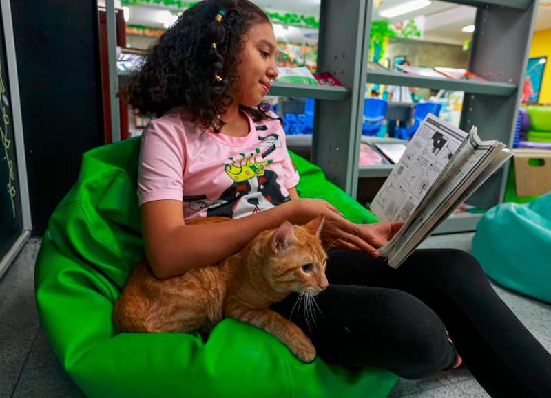 Bibliotecas pet friendly: una experiencia para todos